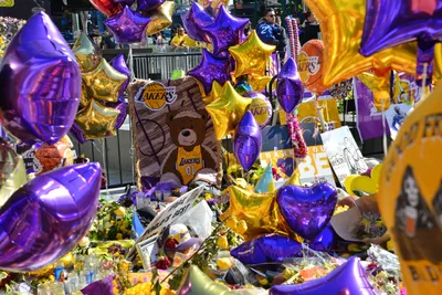 DSC_7170 (Large).JPG